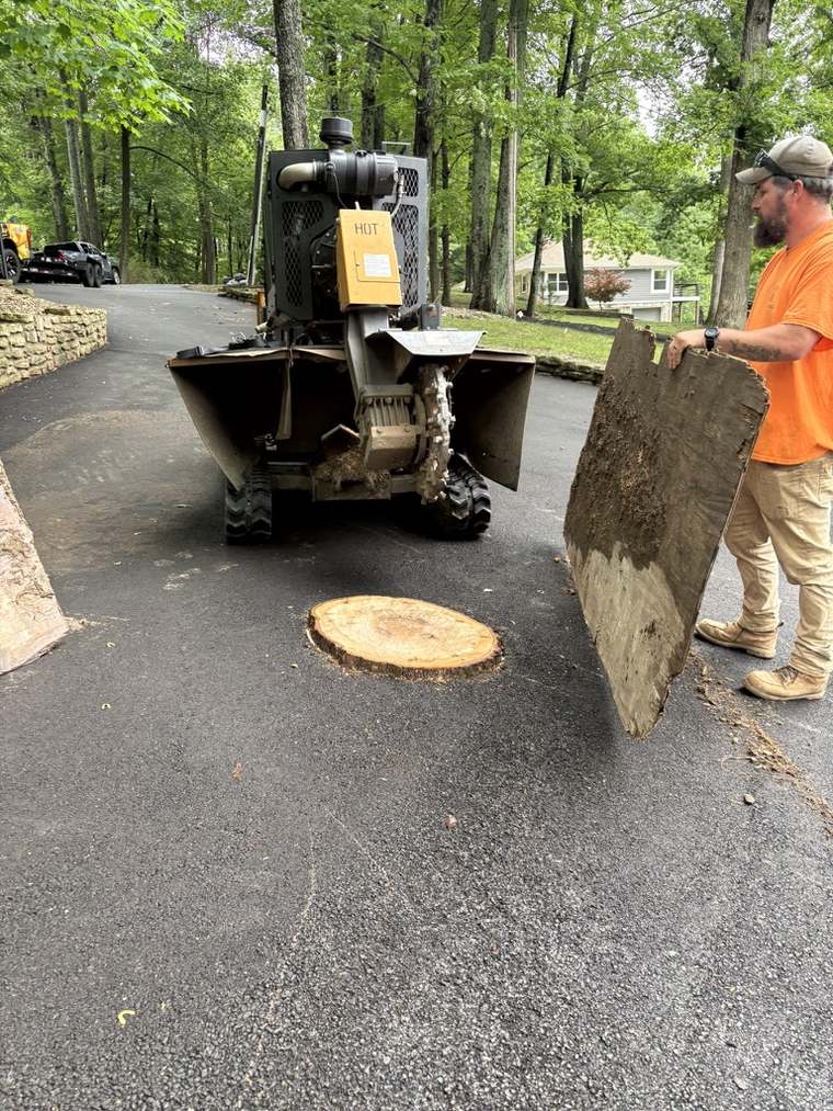 Craig Charles, owner of Triple B's, running a stump grinder on a Central Indiana driveway