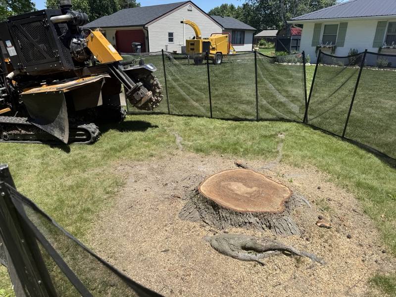 Stump grinder chewing through a large stump along a fenced Central Indiana yard