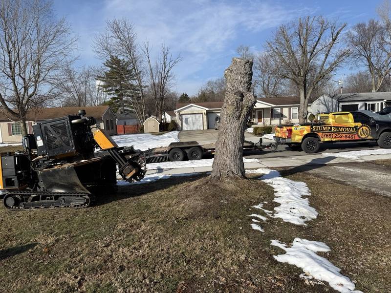 Stump grinder by a cut stump on an early-spring Central Indiana lawn