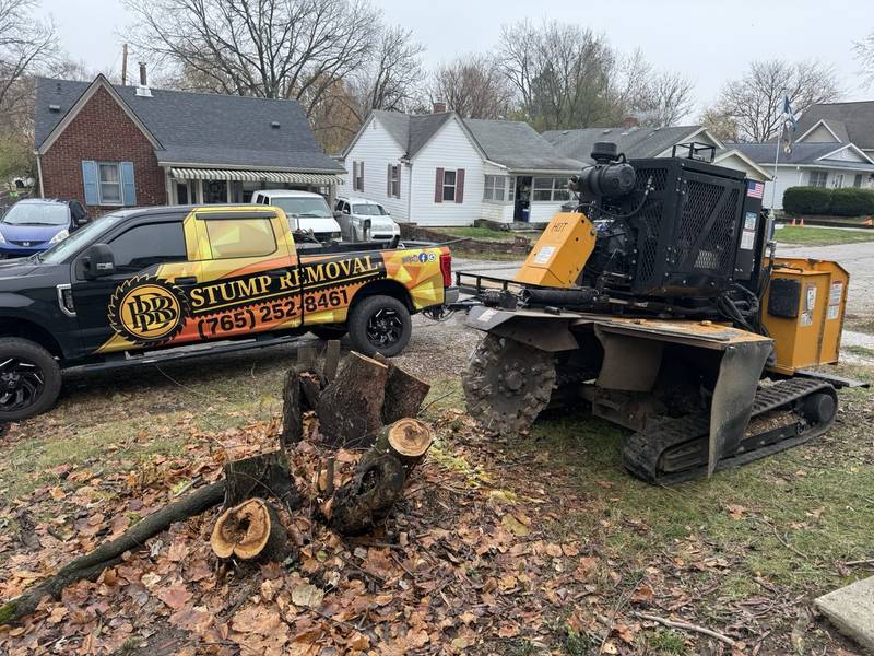 Triple B's stump grinder and equipment trailer clearing multiple stumps from a driveway