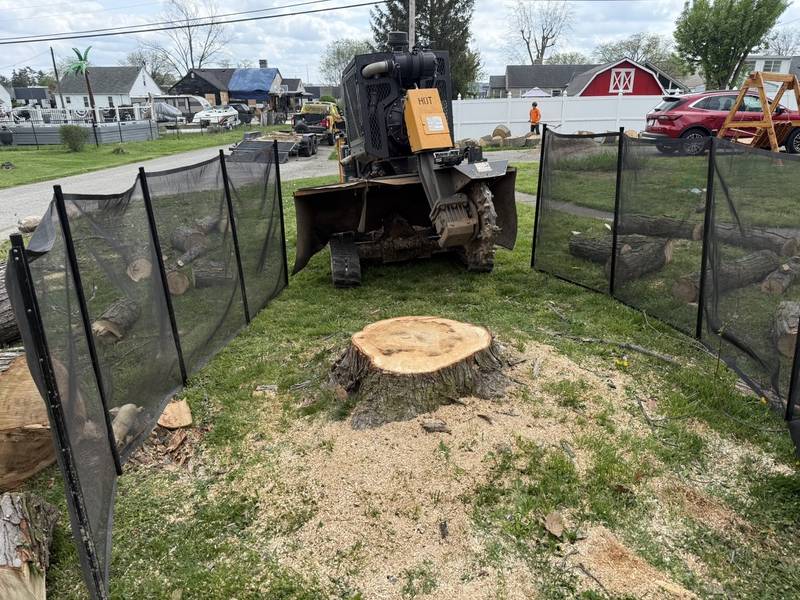 Stump grinder removing a stump along a wood fence line in Central Indiana