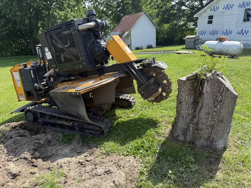 Triple B's stump grinder beside a tall, difficult hardwood stump in Central Indiana