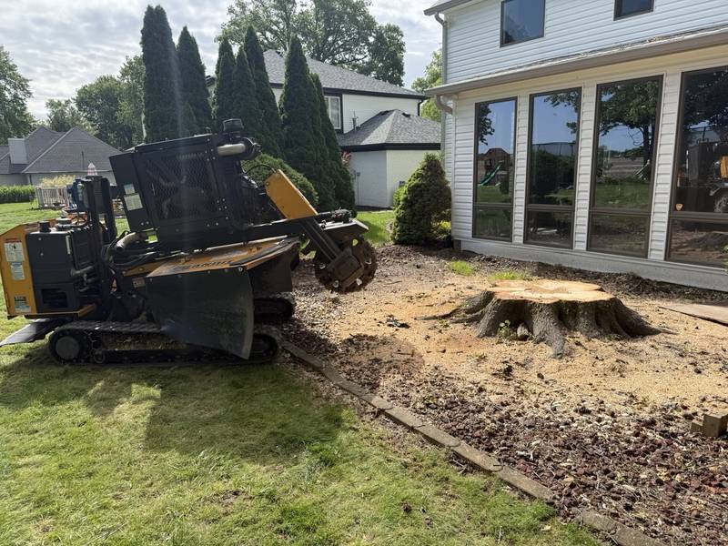 Stump grinder at work beside a columned front-porch home in Central Indiana