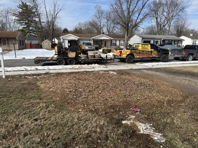 Freshly ground stump area with Triple B's truck and trailer on the job in Central Indiana