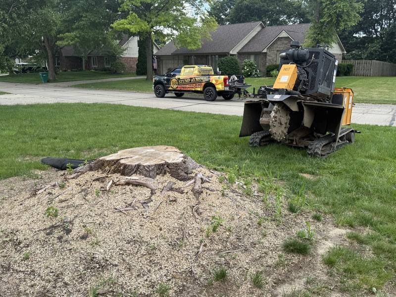 Stump grinder on a tidy green lawn beside a Central Indiana house