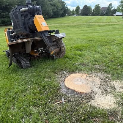 Triple B's stump grinder ready to work beside a Central Indiana home